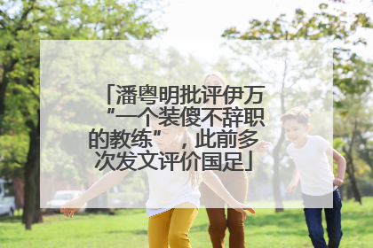 潘粤明批评伊万“一个装傻不辞职的教练”，此前多次发文评价国足